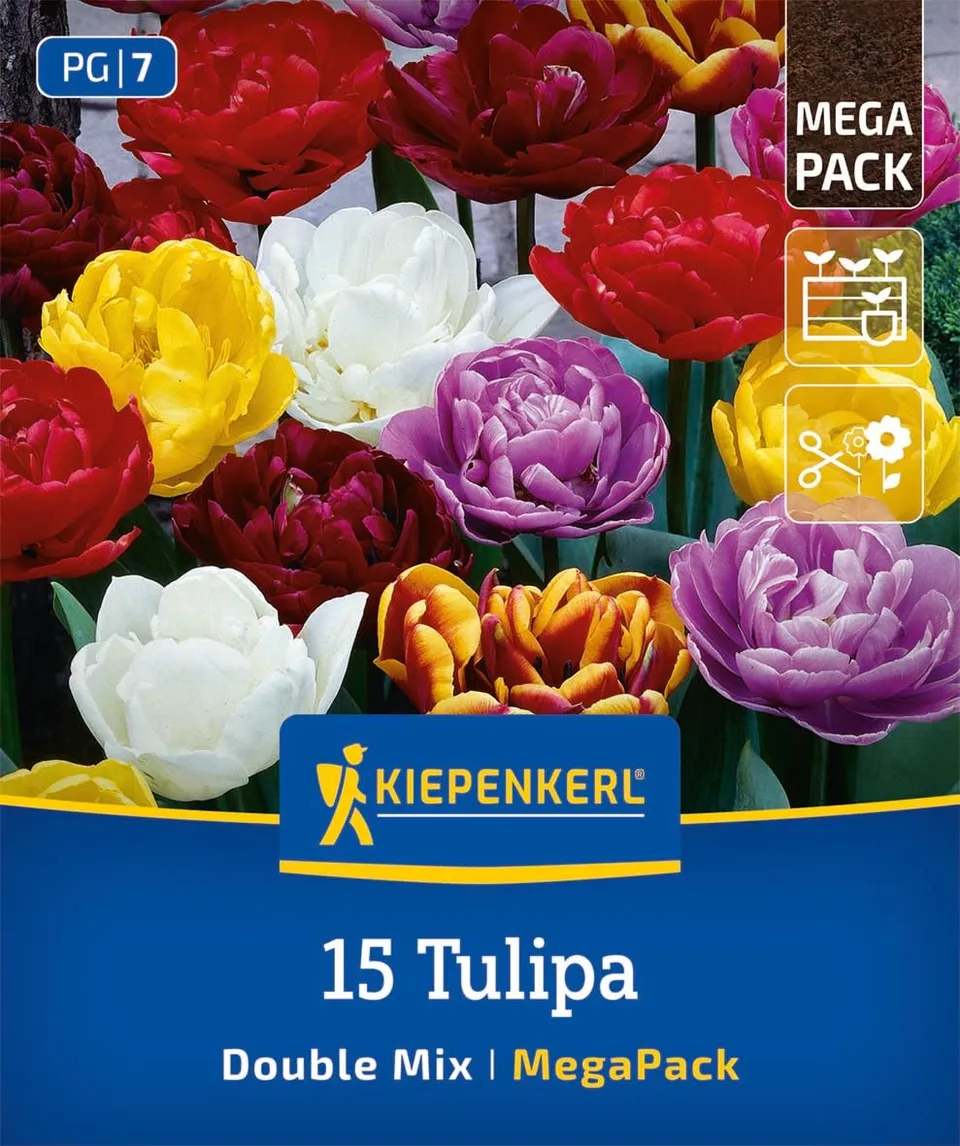 kiepenkerl-gef-llte-tulpen-mischung-2875004-mega-pack-blumenzwiebeln-40-cm image 1
