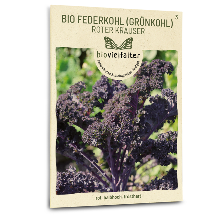 samen-maier-bio-federkohl-roter-krauser-gr-nkohl-samen image 1