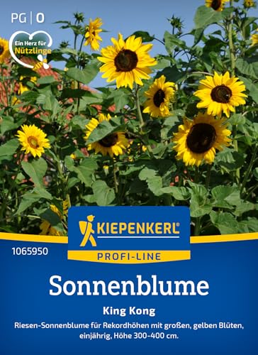 kiepenkerl-sonnenblumensamen-king-kong-1065950 image 6