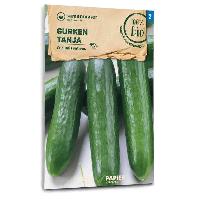 samen-maier-bio-gurken-tanja-saatgut image 1