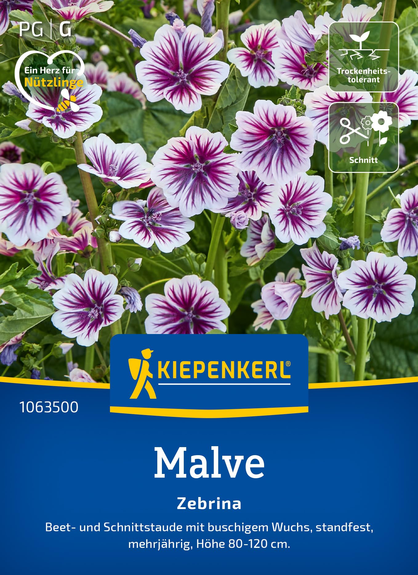kiepenkerl-malvensamen-zebrina-1063500-blumensaat image 1
