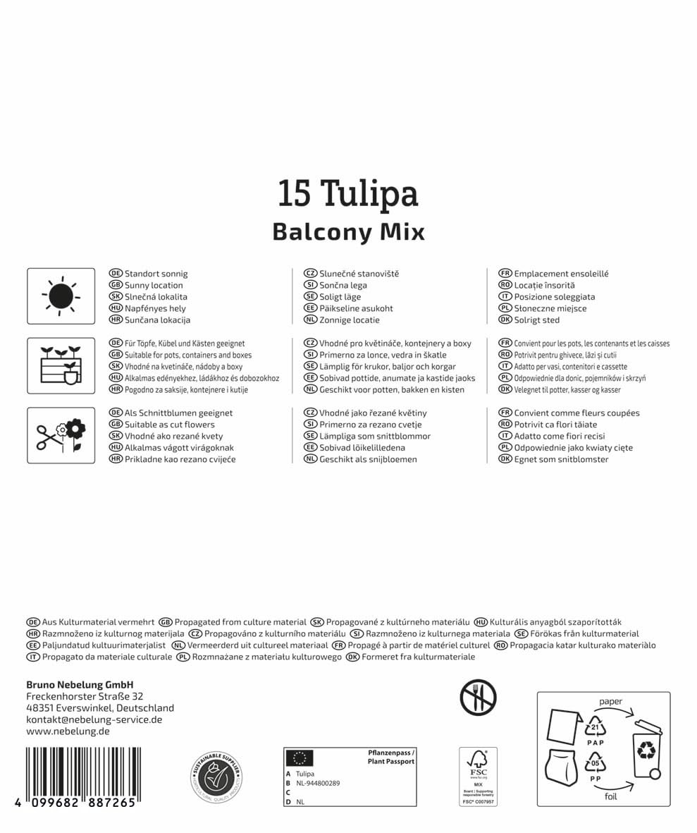 kiepenkerl-mega-pack-botanische-tulpen-balkonzauber-blumenzwiebeln-mehrbl-tig-20 image 2