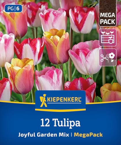 kiepenkerl-mega-pack-blumenzwiebelmischung-joyful-garden-mix-zweifarbige-tulpen- image 8