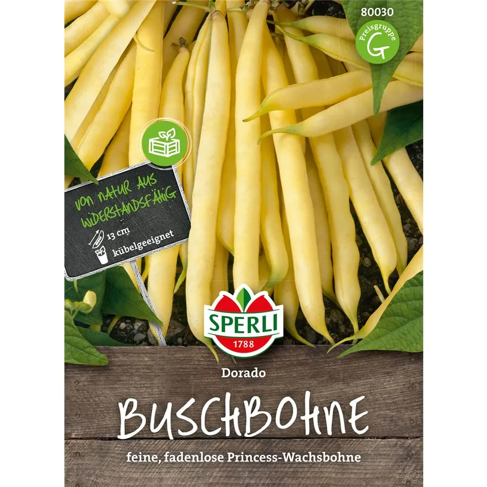 sperli-buschbohne-dorado-gem-sesamen image 1
