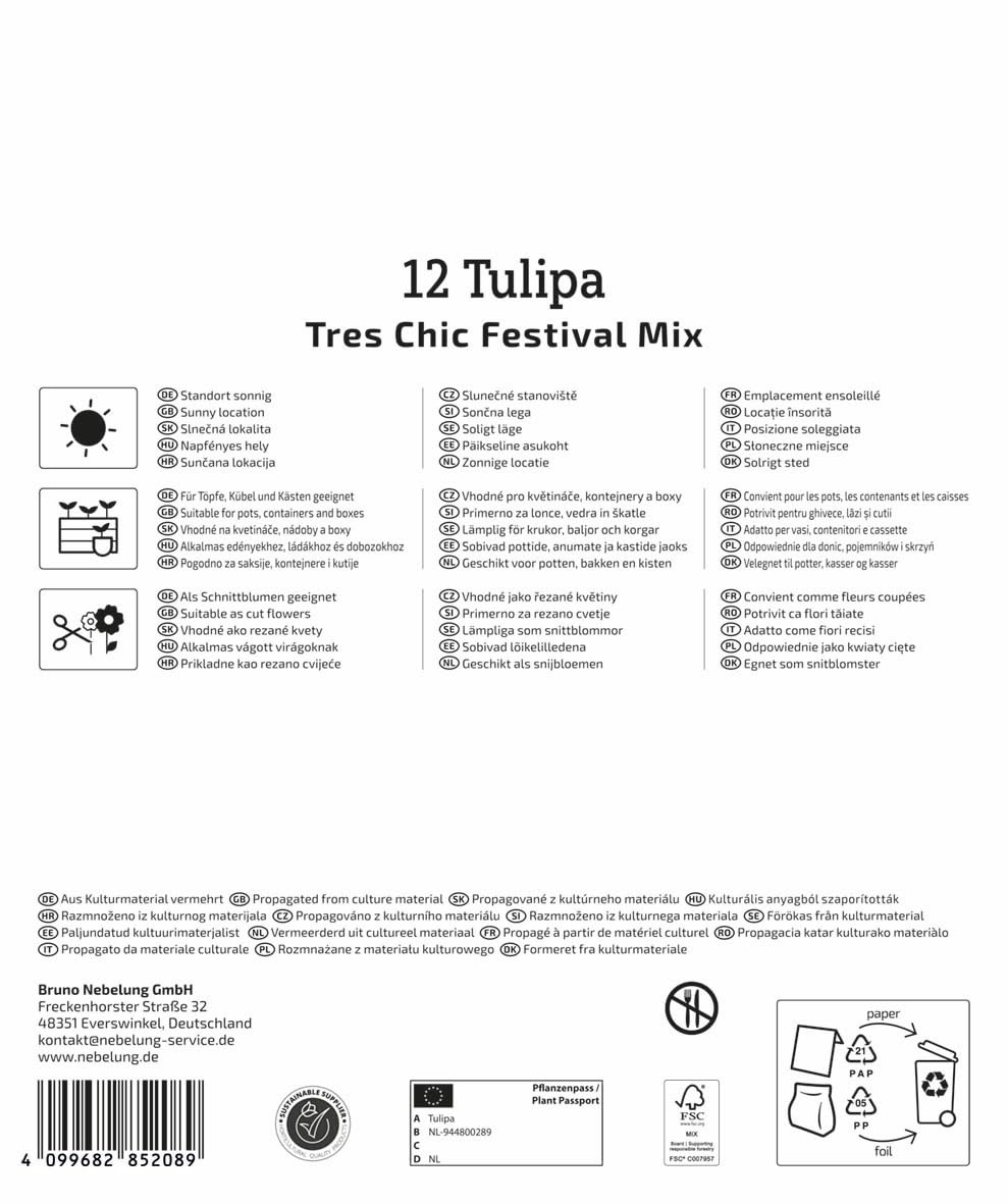 kiepenkerl-mega-pack-lilienbl-tige-tulpen-tres-chic-mix-blumenzwiebeln image 2