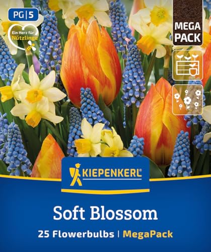 kiepenkerl-mega-pack-soft-blossom-mix-2875041-blumenzwiebelmischung image 7