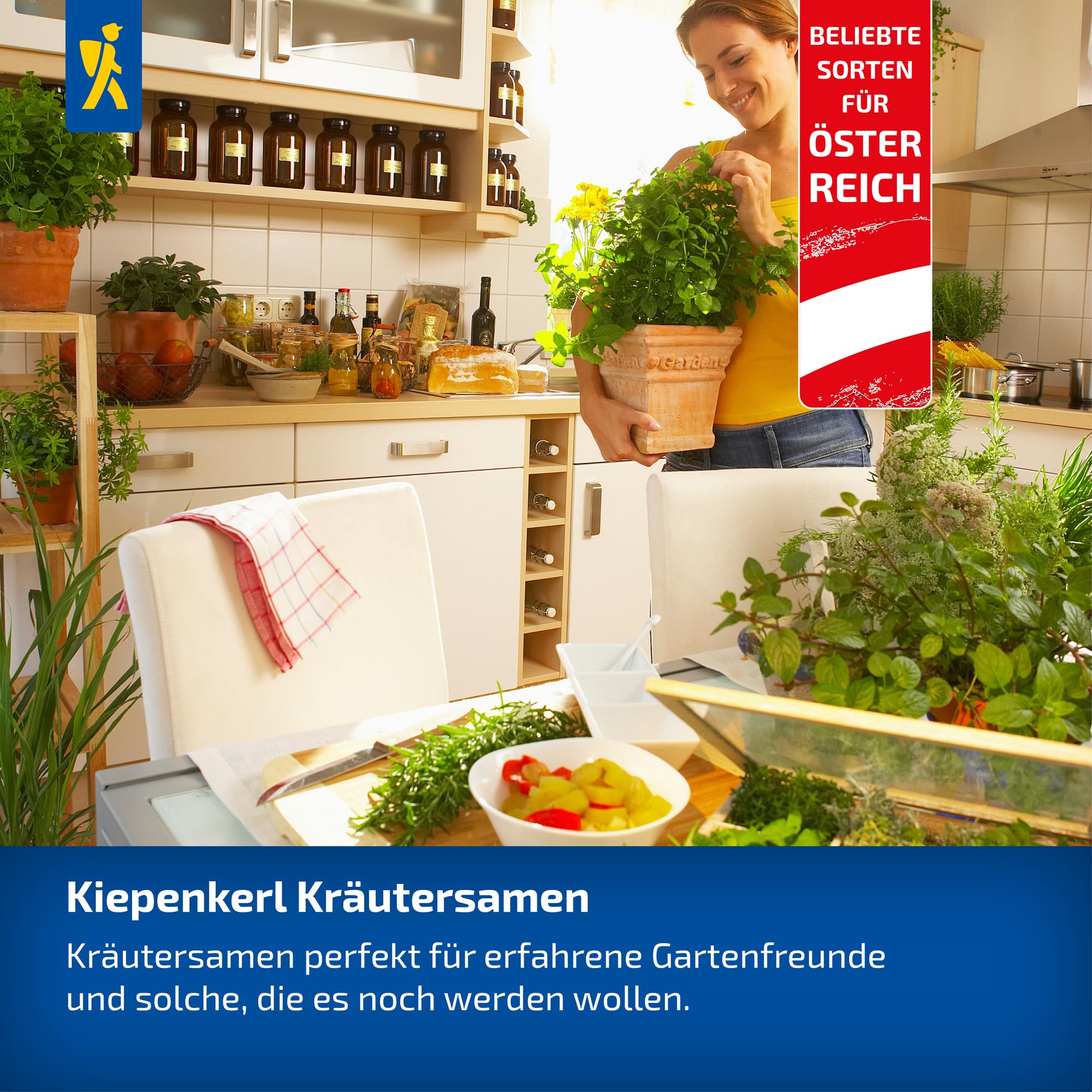 kiepenkerl-dillsamen-dinos-1076740-kr-utersaat image 4