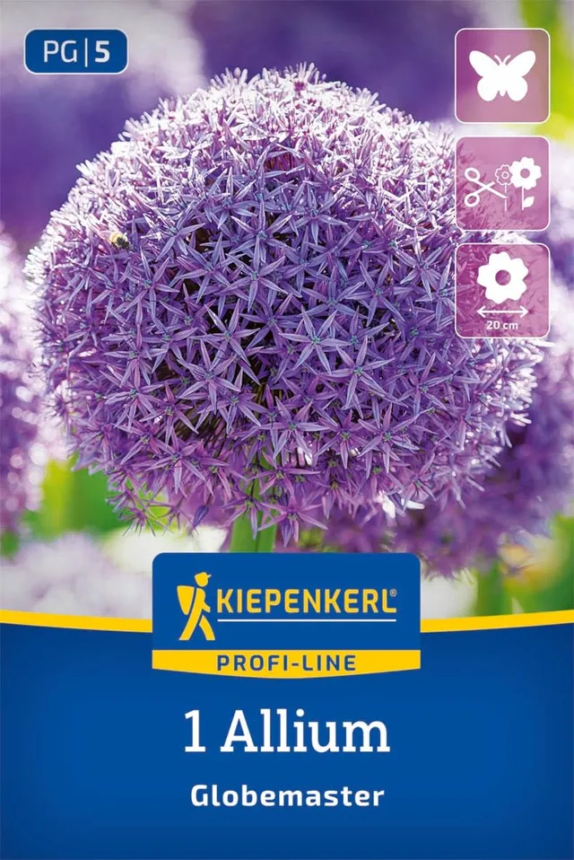 kiepenkerl-profi-line-zierlauch-globemaster-blumenzwiebeln-riesen-allium-lila-bl image 1