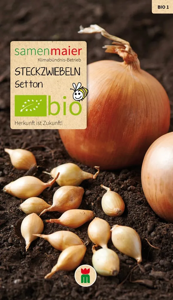 samen-maier-bio-steckzwiebeln-setton-zwiebelsaat-f-r-garten image 1