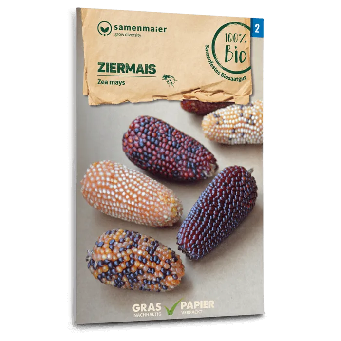 samen-maier-bio-ziermais-saatgut image 1