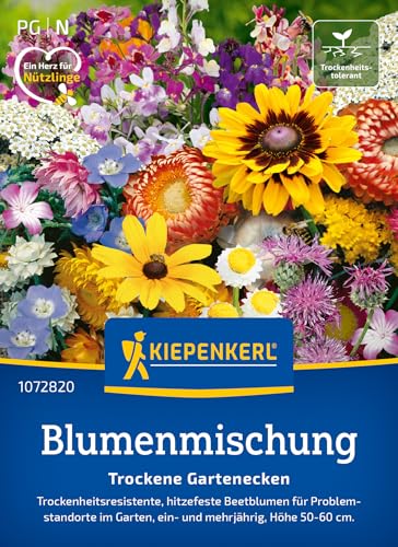 kiepenkerl-blumenmischung-trockene-gartenecken-blumensaat image 7