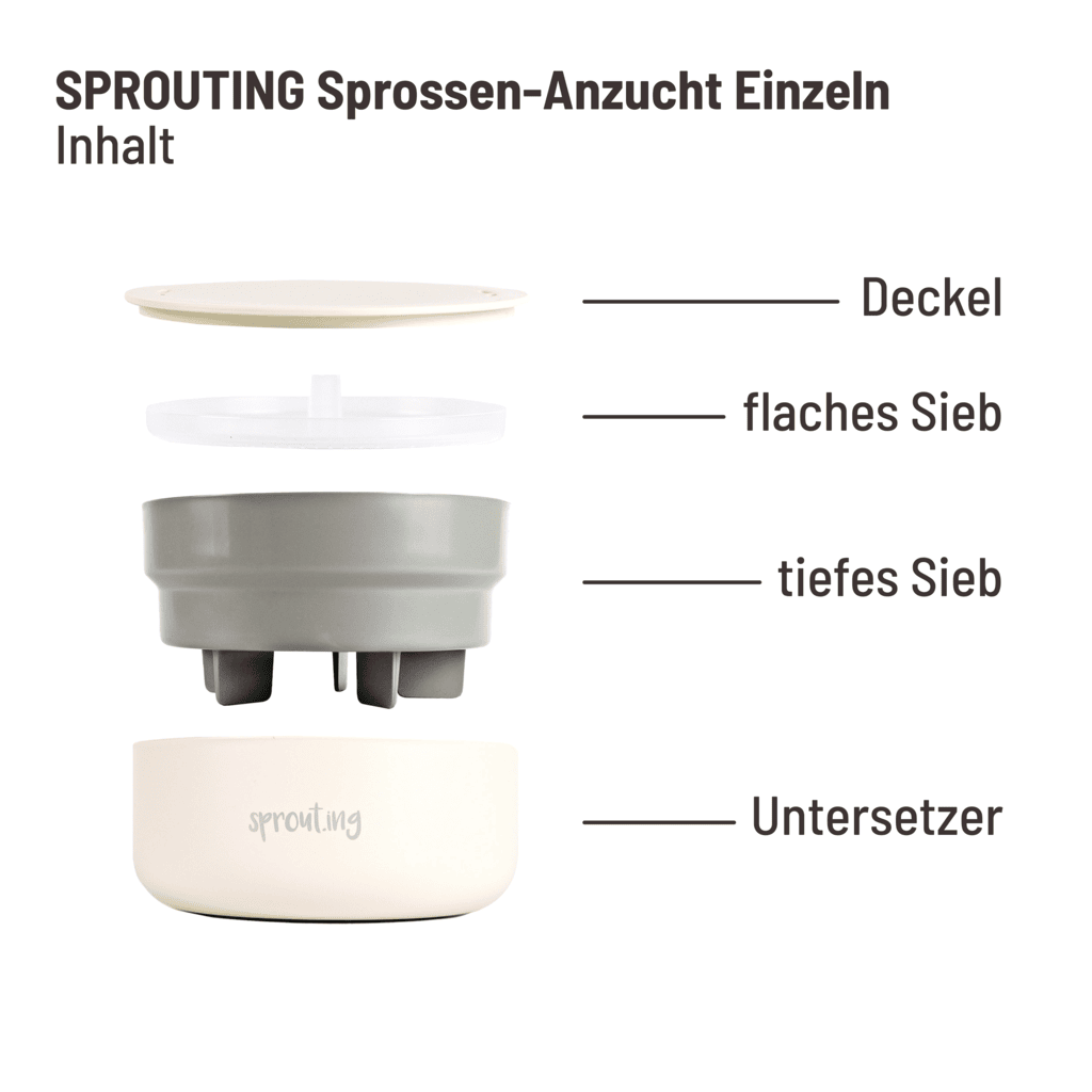samen-maier-sprossen-starterset-sprout-ing image 2