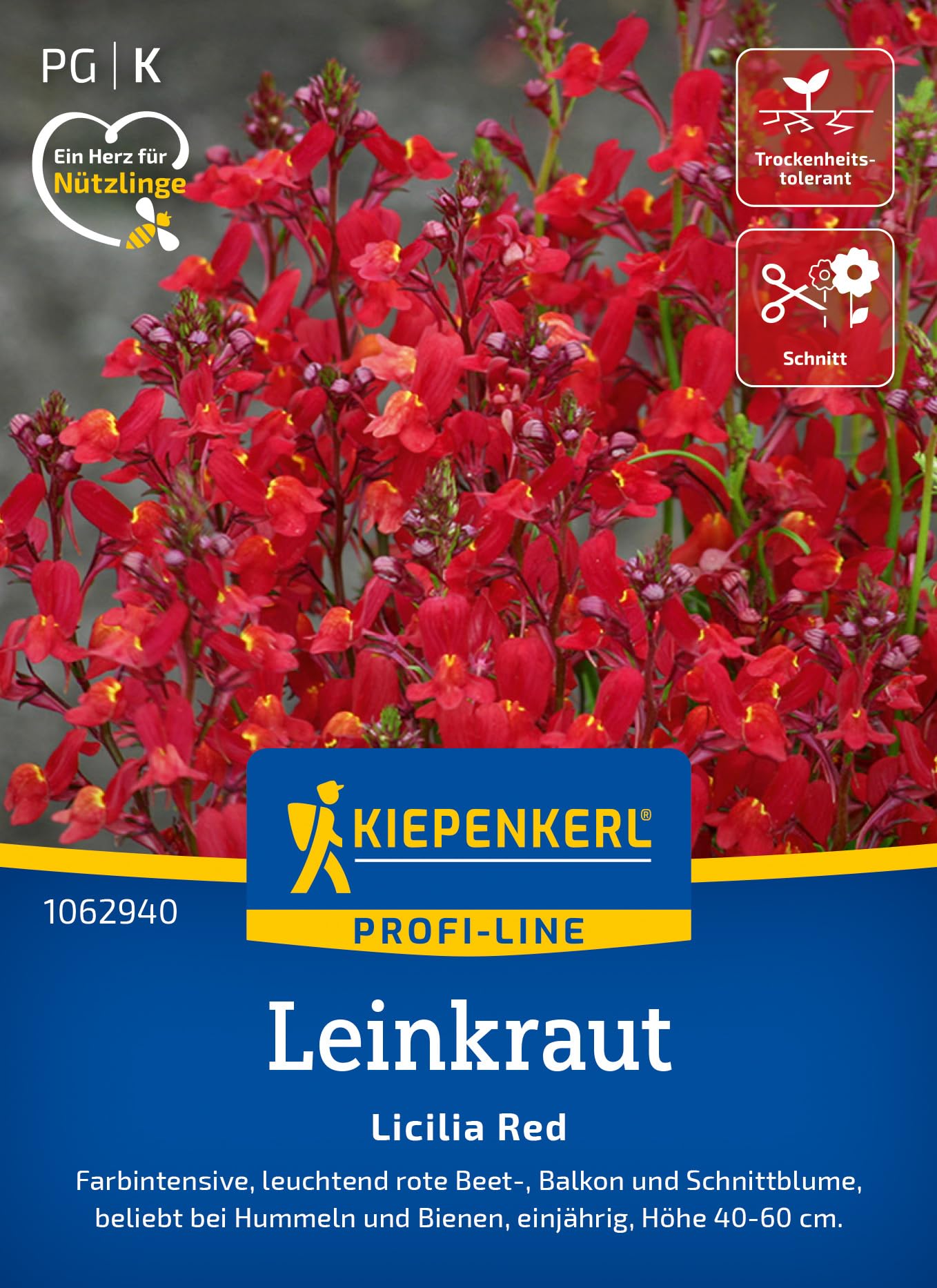 kiepenkerl-leinkrautsamen-licilia-red-1062940-sommerblumensaat image 1