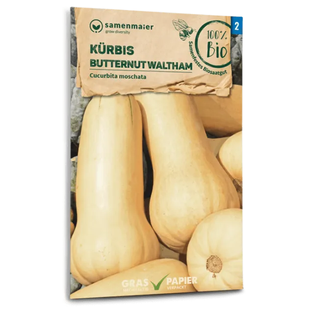 samen-maier-bio-k-rbis-butternut-waltham-gem-sesamen image 1