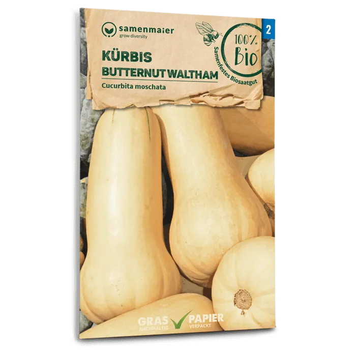 samen-maier-bio-k-rbis-butternut-waltham-gem-sesamen image 1