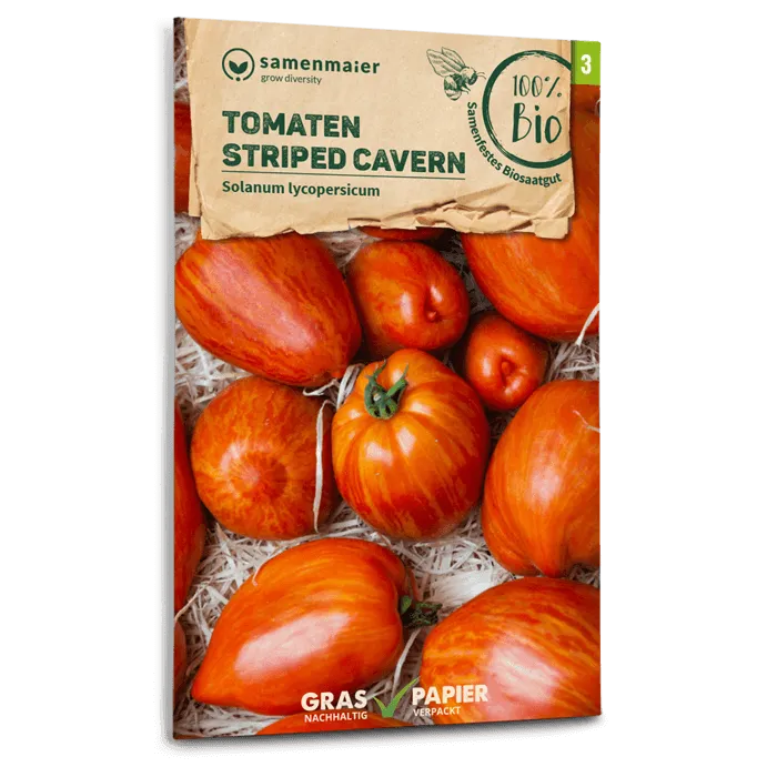 samen-maier-bio-tomaten-striped-cavern-stabtomaten-samen image 1