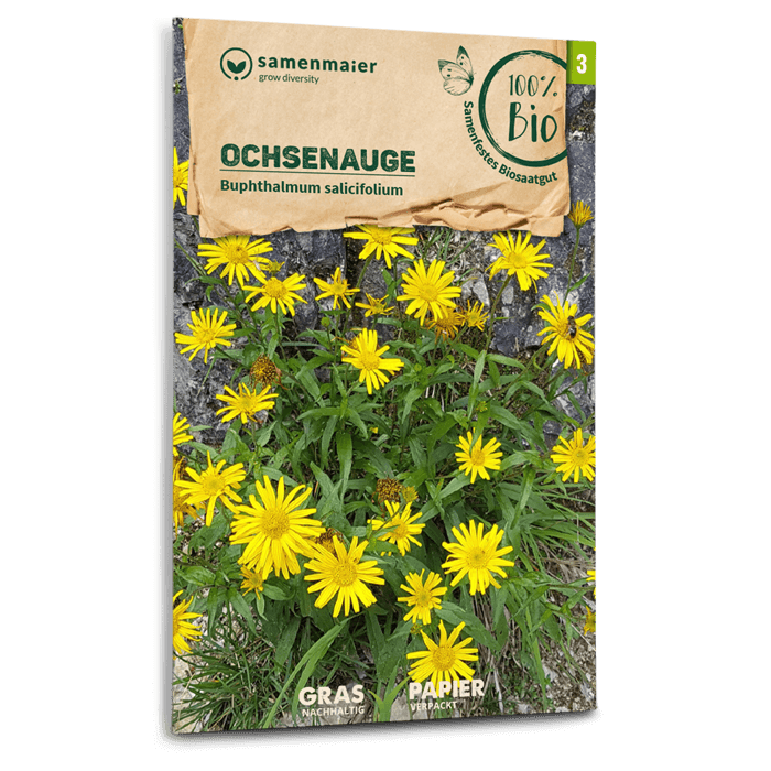 samen-maier-bio-wildblumen-ochsenauge-nektarreiche-staude image 1