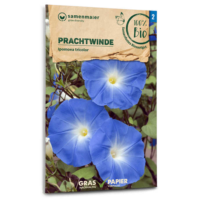 samen-maier-bio-prachtwinde-kletterpflanzen-saatgut image 1
