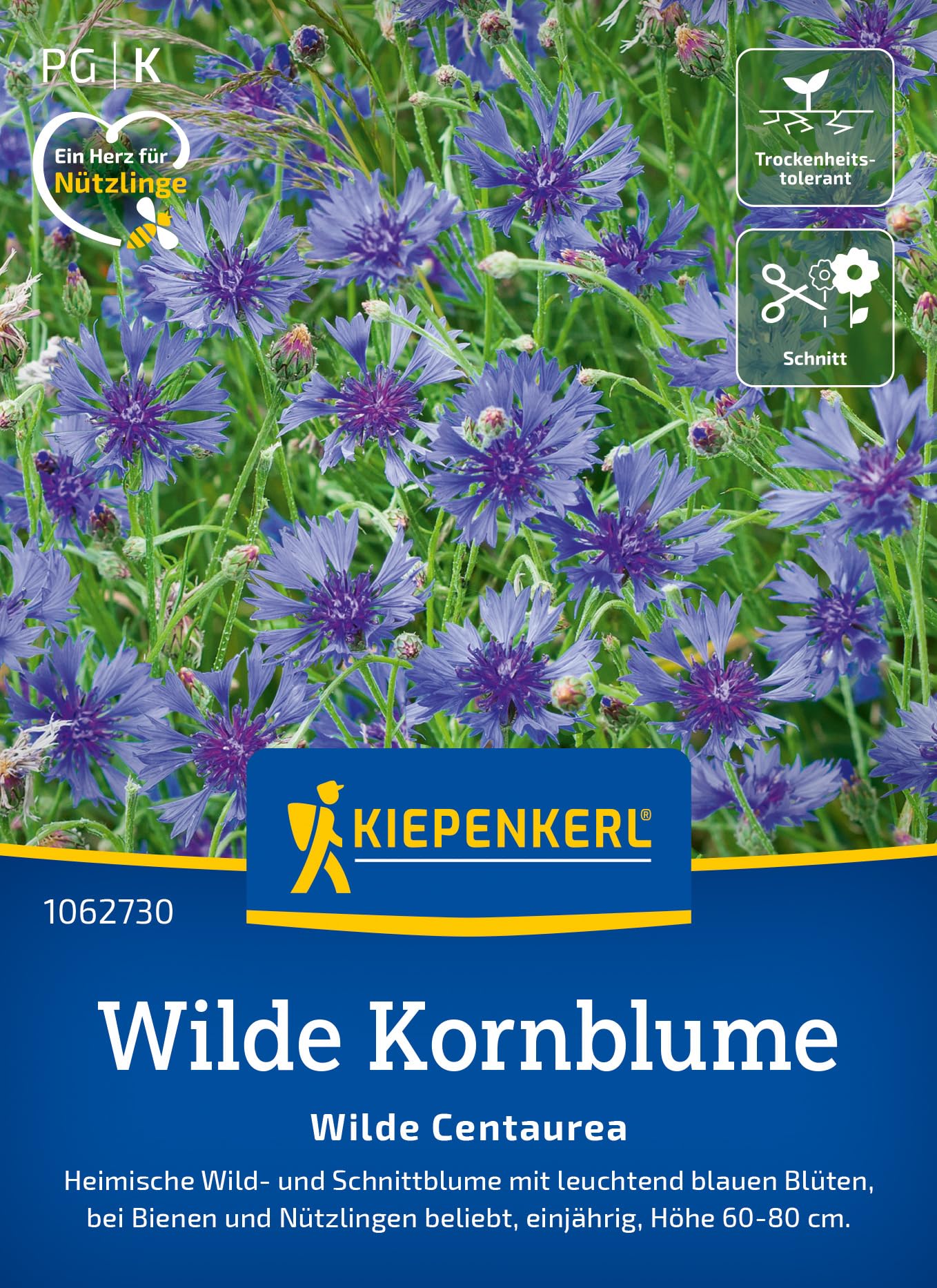 kiepenkerl-wilde-kornblume-wilde-centaurea-blumensaatgut image 1