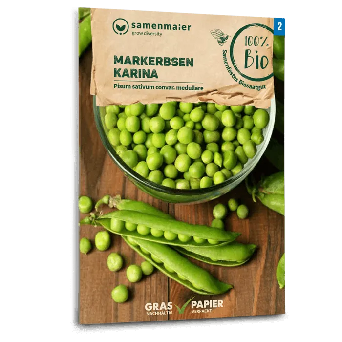 samen-maier-bio-markerbsen-karina-saatgut image 1