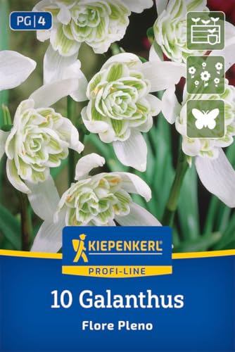 kiepenkerl-profi-line-schneegl-ckchen-flore-pleno-blumenzwiebeln-gef-llt-wei-gr- image 8