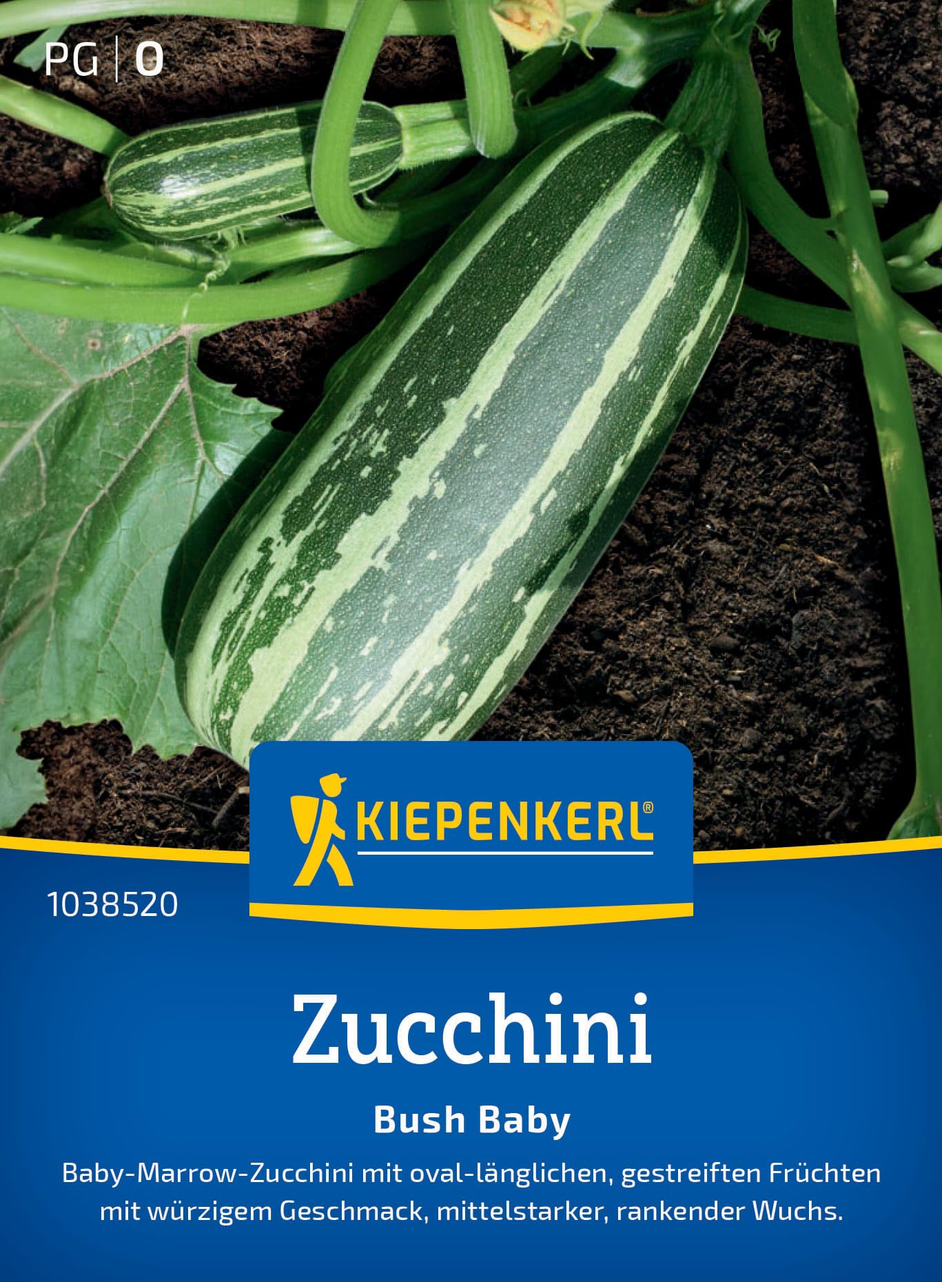 kiepenkerl-zucchini-soleil-gem-sesamen image 7