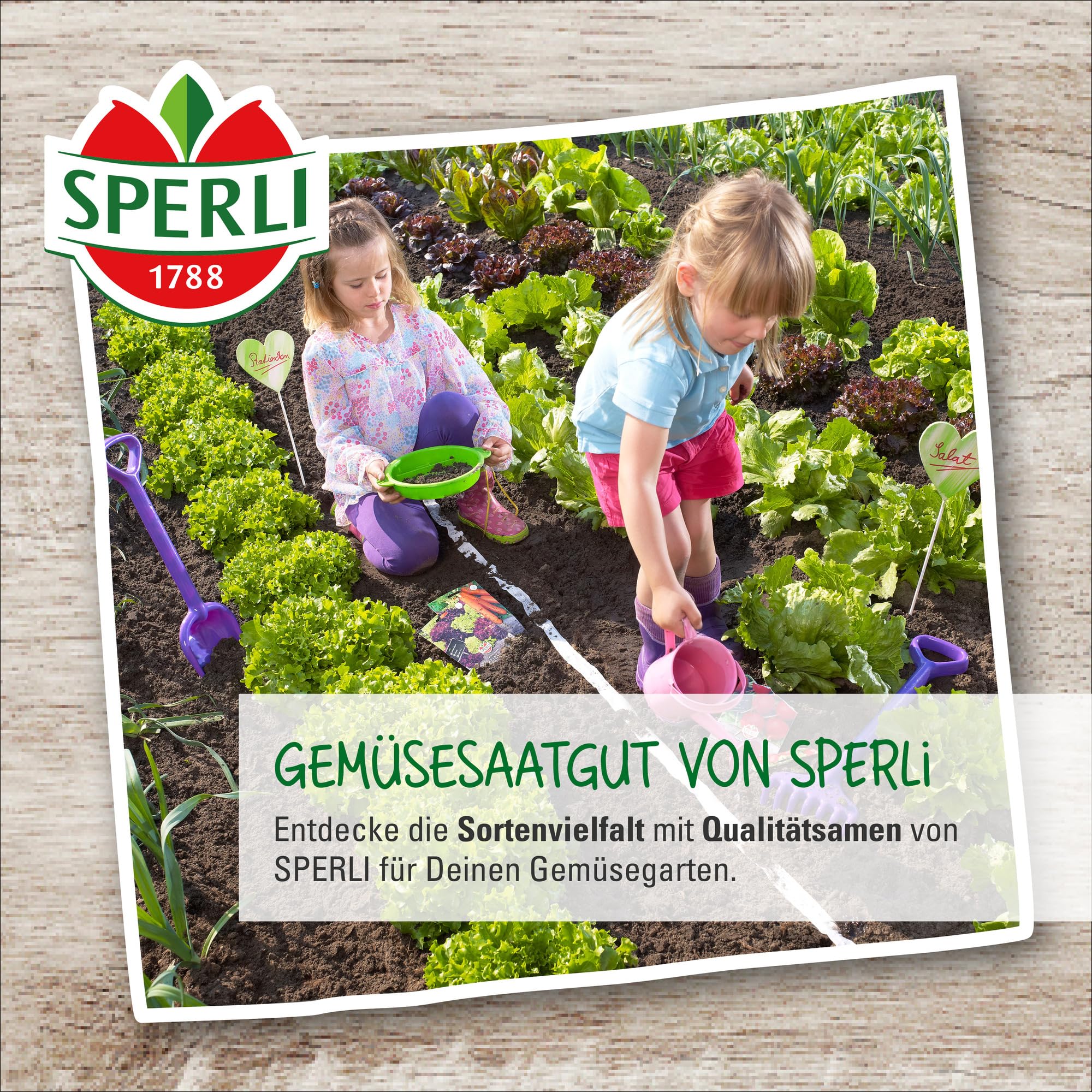 sperli-zitronengurke-lemon-80854-gem-sesaat image 5