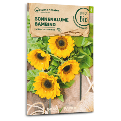 samen-maier-bio-sonnenblume-bambino-blumensamen-kompakt-40-60-cm image 3