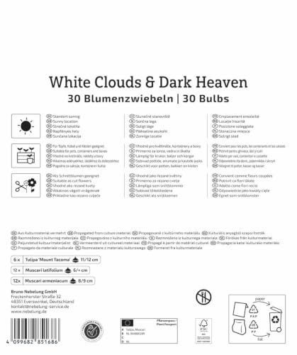 kiepenkerl-mega-pack-blumenzwiebelmischung-white-cloud-dark-heaven-mix-2875030 image 4