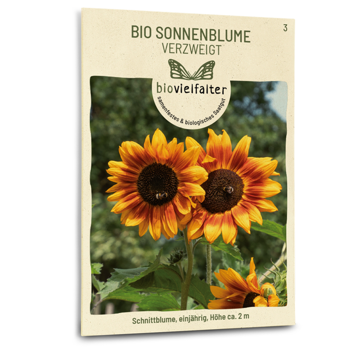 samen-maier-bio-sonnenblume-verzweigt-blumensamen image 1