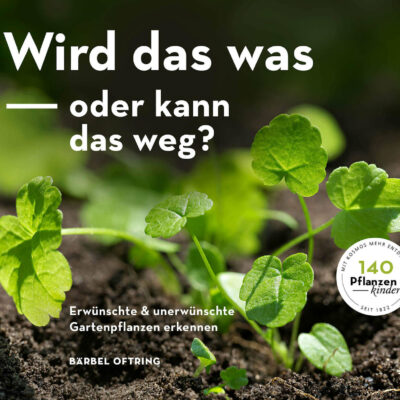 samen-maier-wird-das-was-oder-kann-das-weg-jungpflanzen-bestimmungsbuch image 2