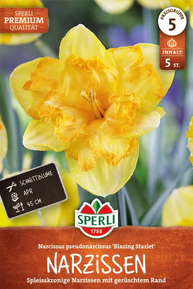 sperli-splei-kronige-narzisse-blazing-starlet-blumenzwiebeln-goldgelb-45-cm image 1
