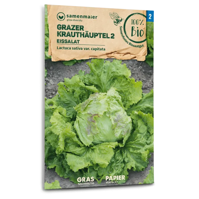 samen-maier-bio-eissalat-grazer-krauth-uptel-2-saatgut image 1