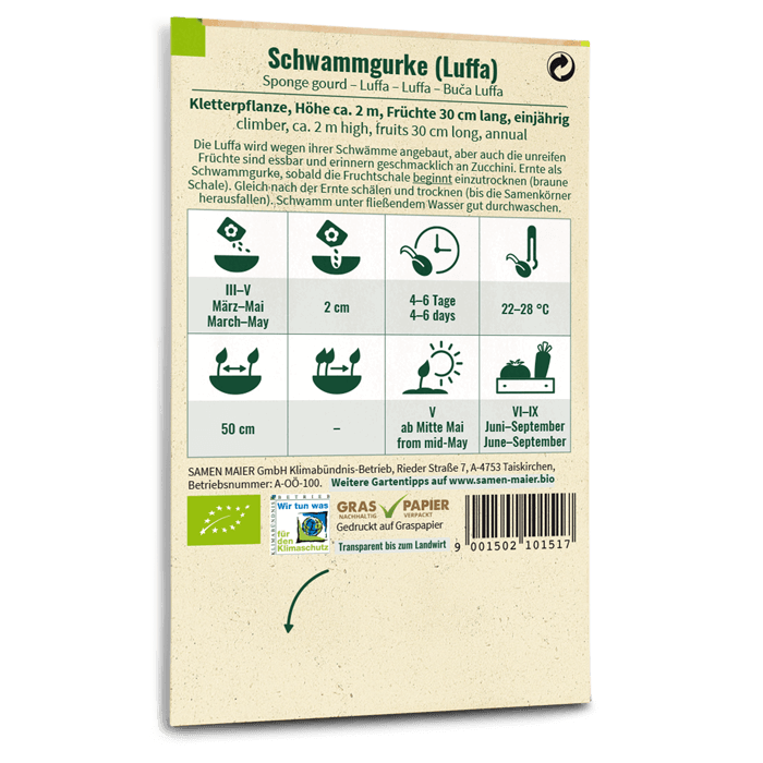 samen-maier-bio-schwammgurke-luffa-saatgut image 2