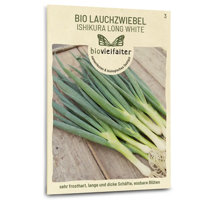 samen-maier-bio-lauchzwiebel-ishikura-long-white-gem-sesamen image 1