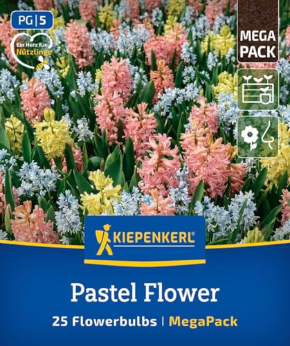 kiepenkerl-mega-pack-blumenzwiebelmischung-pastel-flower-2875027-hyazinthen-pusc image 8