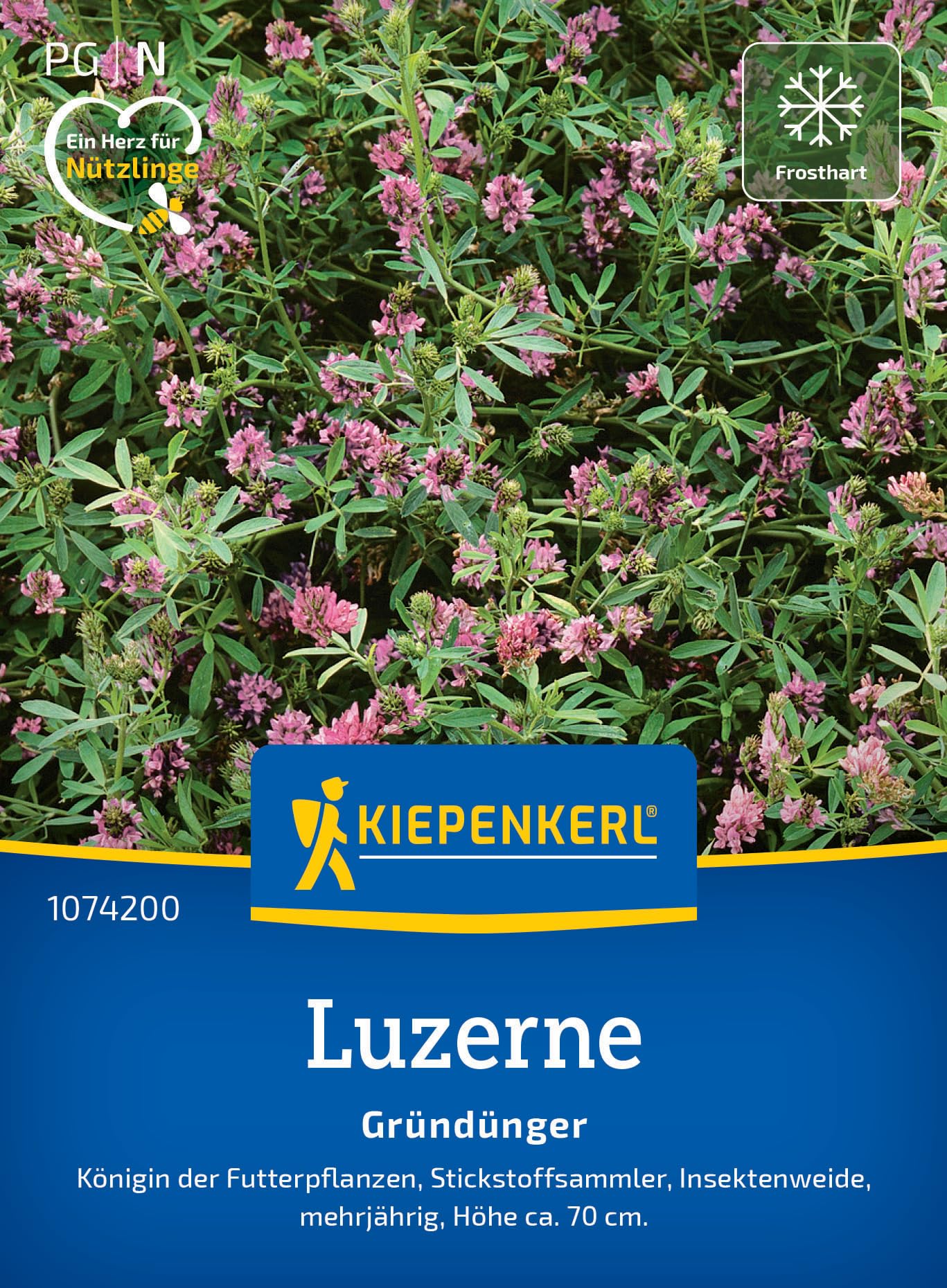 kiepenkerl-phaceliasamen-bienenfreund-1074350-gr-nd-ngungssaat image 6
