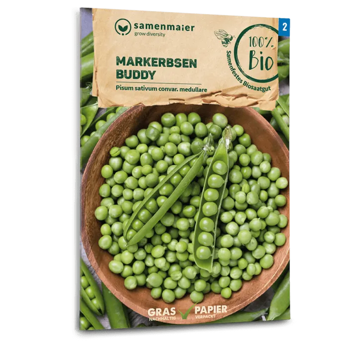 samen-maier-bio-markerbsen-buddy-kompakte-freilandsamen image 1