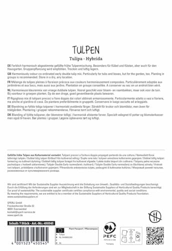 sperli-gef-llte-fr-he-tulpen-mischung-mehrfarbiger-tulpenmix-bunt image 8