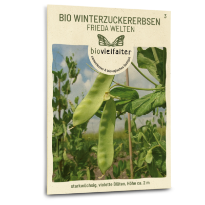 samen-maier-bio-winterzuckererbsen-frieda-welten-samen image 3