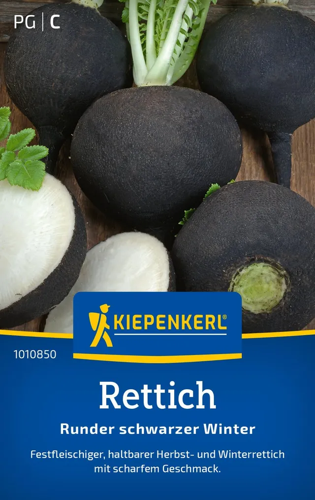 kiepenkerl-rettichsamen-runder-schwarzer-winter-gem-sesaat image 1