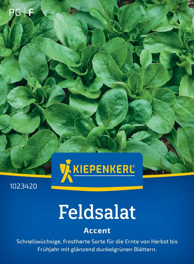 kiepenkerl-feldsalatsamen-accent-1023420-frostharte-gem-sesaat image 1