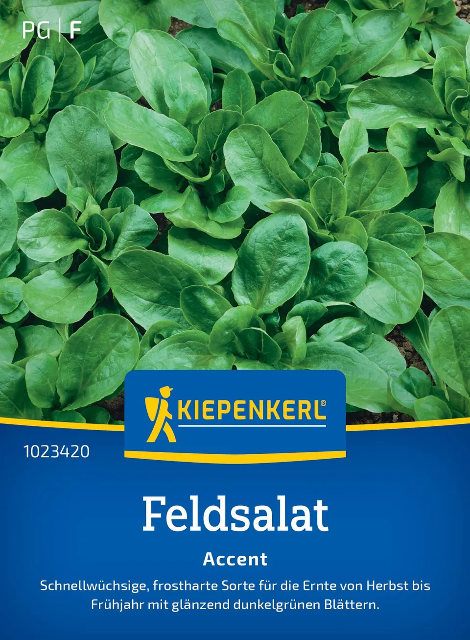 kiepenkerl-feldsalatsamen-accent-1023420-frostharte-gem-sesaat image 1