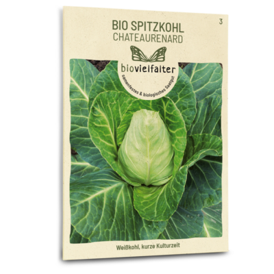 samen-maier-bio-spitzkohl-chateaurenard-samen image 3