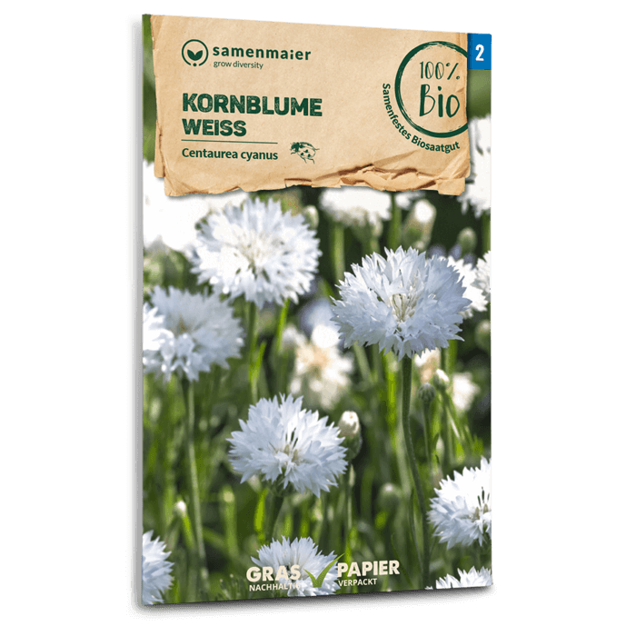 samen-maier-bio-kornblume-wei-blumensamen-60-80-cm image 1