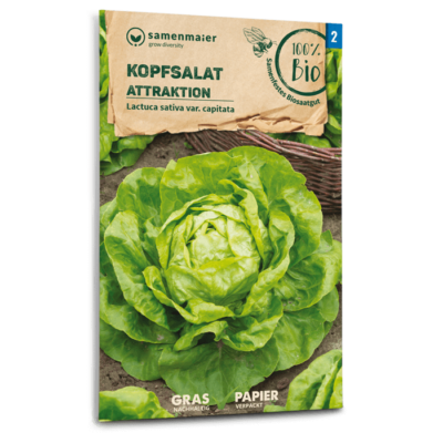 samen-maier-bio-kopfsalat-attraktion-gem-sesamen image 3