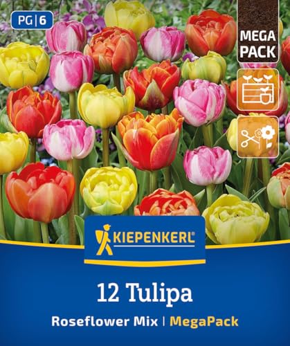 kiepenkerl-mega-pack-gef-llte-sp-te-rosentulpen-mischung-blumenzwiebeln-40-cm-ma image 8
