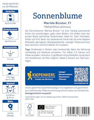 kiepenkerl-sonnenblumensamen-merida-bicolor-1066090-blumensaat image 8