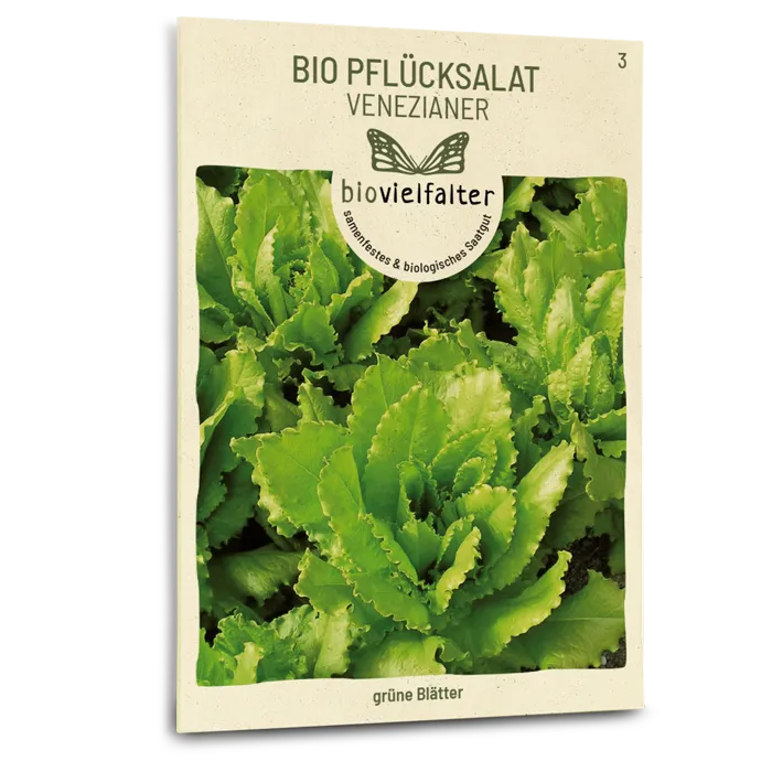 samen-maier-bio-pfl-cksalat-venezianer-salatsamen image 1