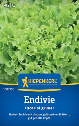kiepenkerl-endiviensalat-breedblad-volhart-winter-303 image 5